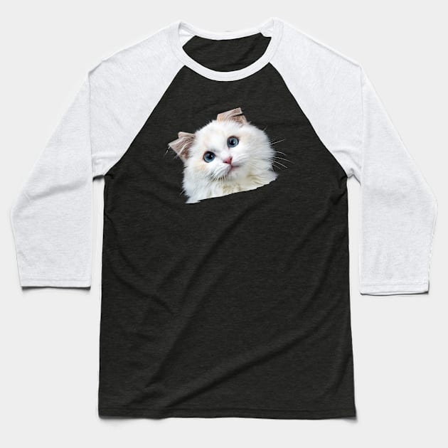 Cat animal domestic Baseball T-Shirt by madani04